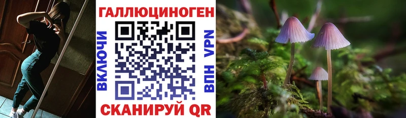 Купить где  Малая Вишера  Галлюциногенные грибы Cubensis 